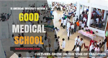Is American University of Antigua a Good Medical School?