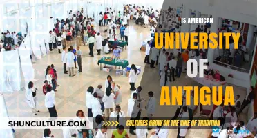 Is American University of Antigua Right for Your Medical Career?