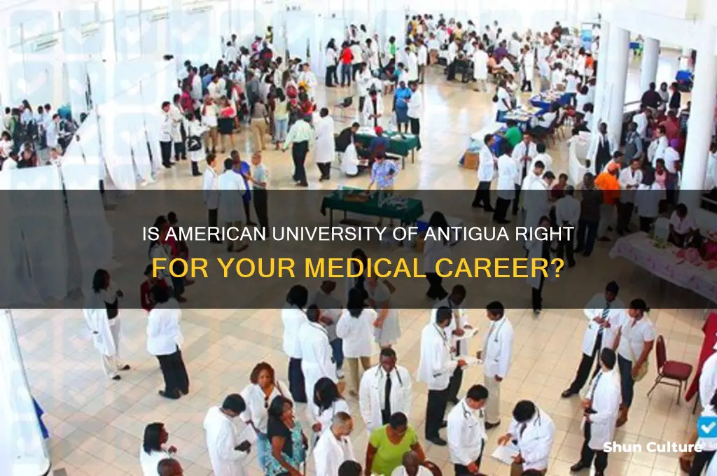 is american university of antigua