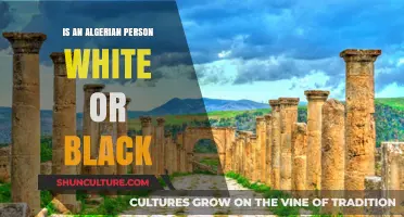 Understanding Algerian Identity: Are Algerians Considered White or Black?
