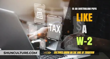 Understanding the Similarities of PAYG and W-2 Forms