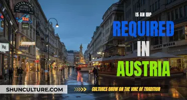 IDP Requirements: Driving in Austria