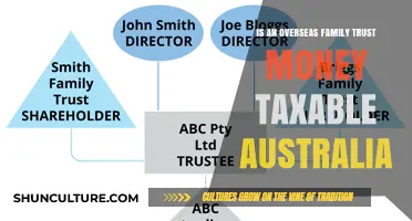 Family Trusts: Are Overseas Funds Taxable in Australia?
