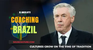 Ancelotti's Potential Move: Coaching Brazil's National Team?