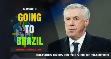 Ancelotti's Potential Move to Brazil: What We Know So Far
