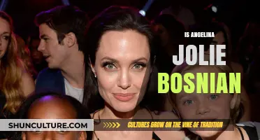 Is Angelina Jolie Bosnian? Unraveling the Actress' Heritage and Roots