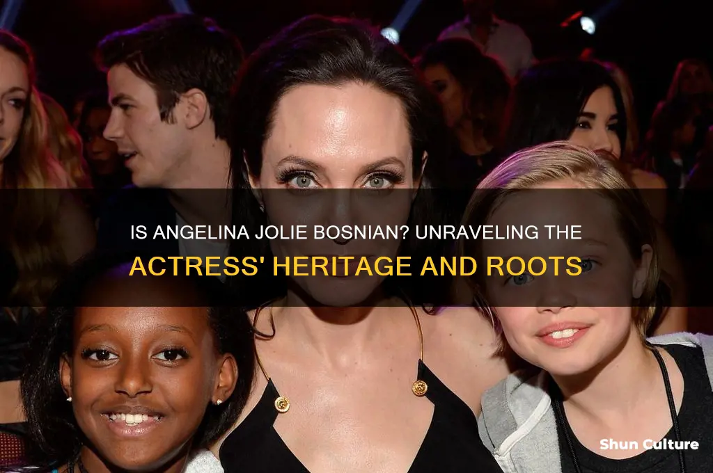 is angelina jolie bosnian