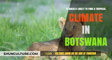 Exploring Botswana's Climate: Will Angelo Discover Tropical Weather?
