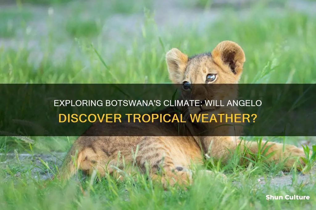 is angelo likely to find a tropical climate in botswana