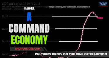 Angola's Economic Structure: Command or Controlled?