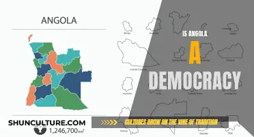 Angola's Democratic Status: Examining the Reality