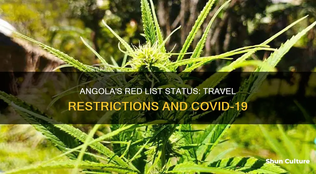 is angola a red list country