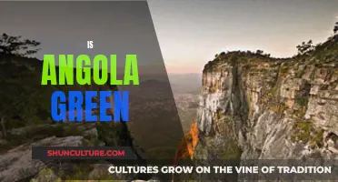 Angola's Green Revolution: A Country's Sustainability Efforts