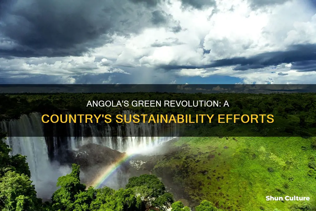 is angola green