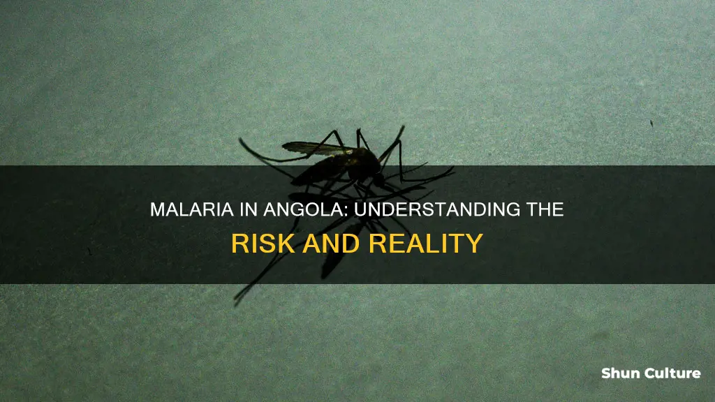 is angola malaria