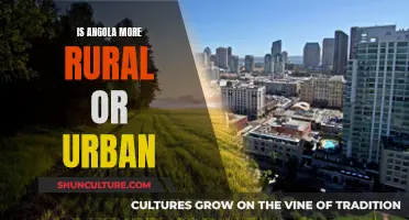 Urban vs Rural: Angola's Development Dichotomy