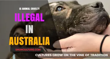 Animal Cruelty in Australia: What's the Law?