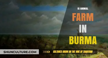 Exploring the Allegory: Animal Farm's Parallels to Burma's Political Landscape