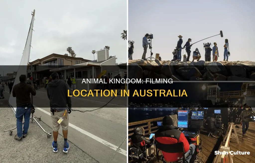 is animal kingdom filmed in australia