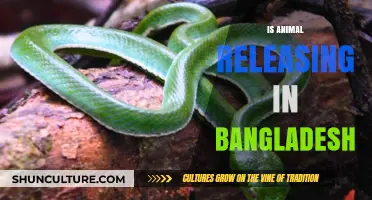 Animal Release Practices in Bangladesh: Conservation or Controversy?