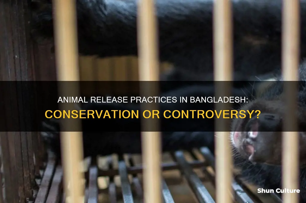 is animal releasing in bangladesh