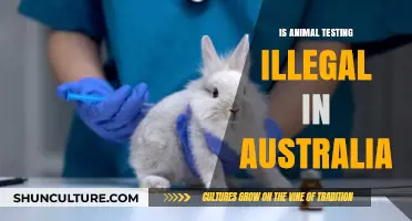 Animal Testing in Australia: What's the Law?