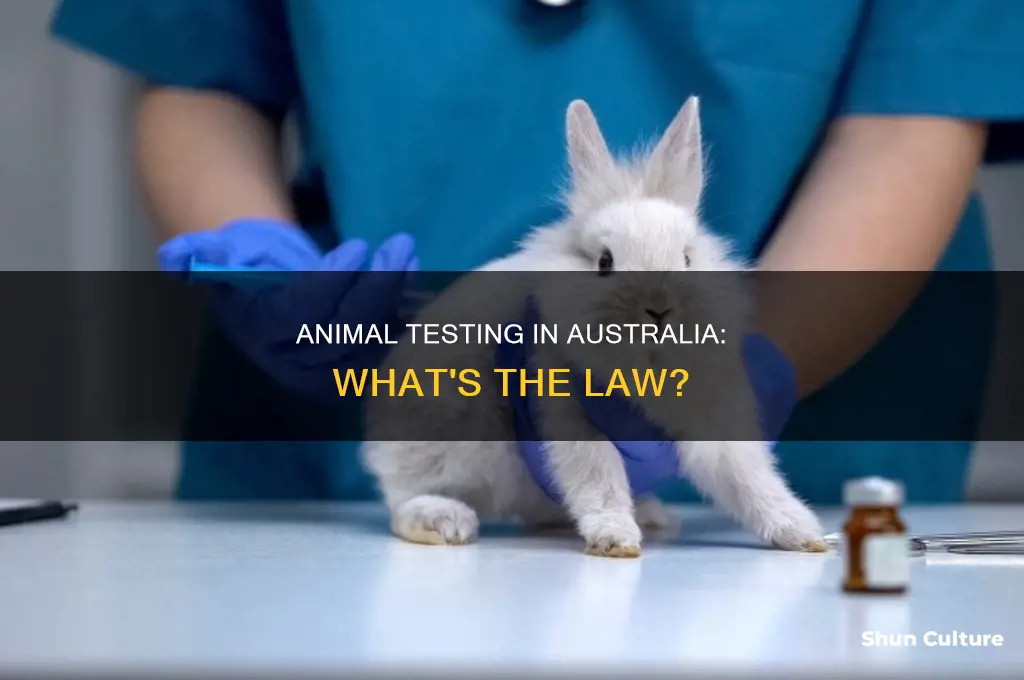 is animal testing illegal in australia