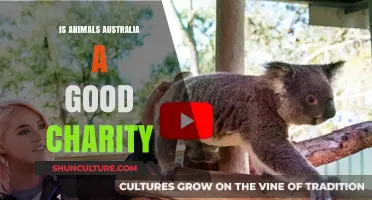 Animals Australia: A Charity Worth Supporting?