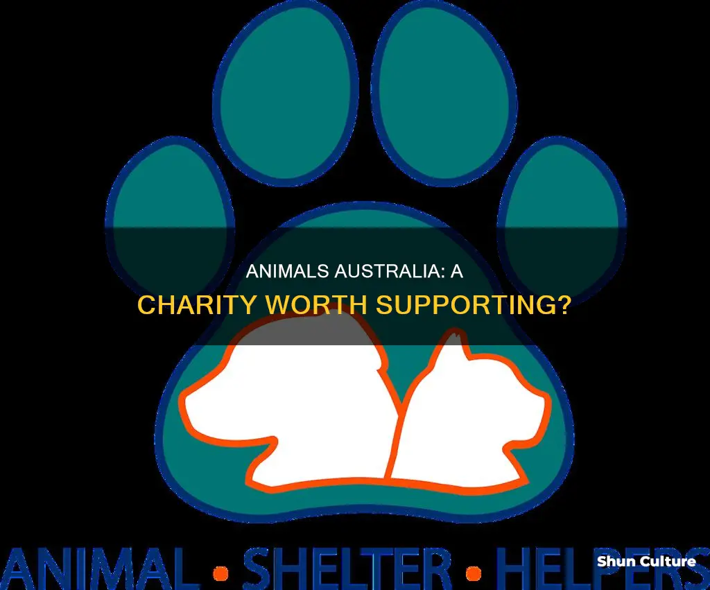 is animals australia a good charity