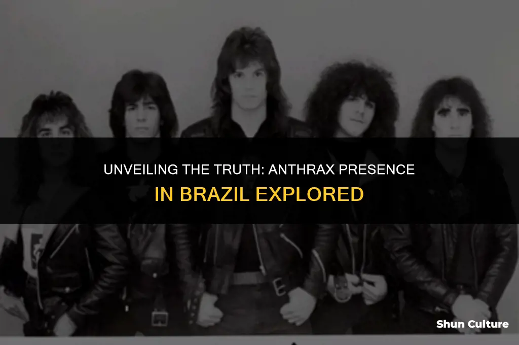 is anthrax in brazil