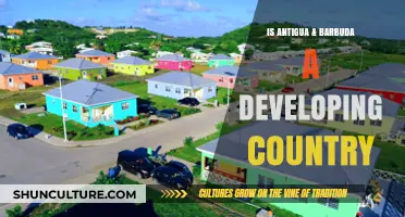Is Antigua & Barbuda a Developing Country? Exploring Its Economic Status