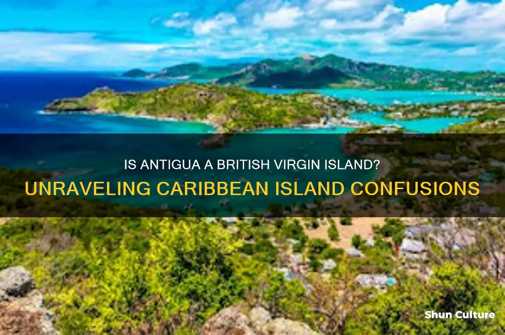 is antigua a british virgin island