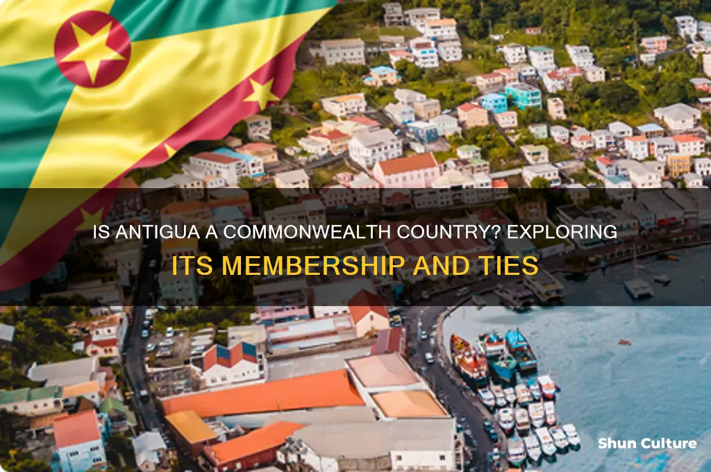 is antigua a commonwealth country