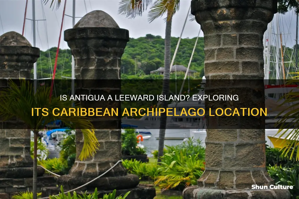 is antigua a leeward island
