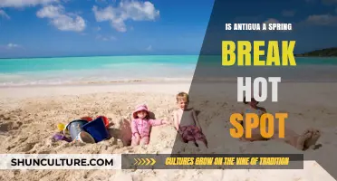 Is Antigua the Ultimate Spring Break Destination? Explore the Hotspot