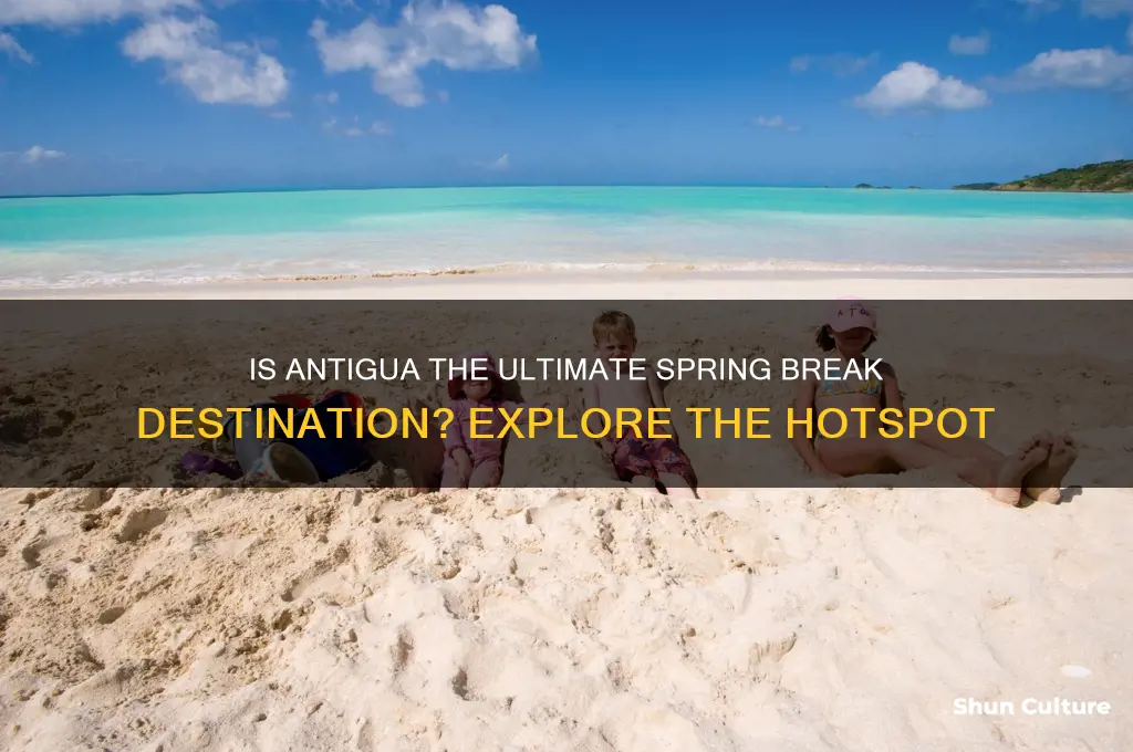 is antigua a spring break hot spot