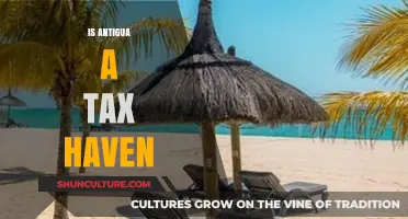 Is Antigua a Tax Haven? Exploring Its Offshore Financial Appeal