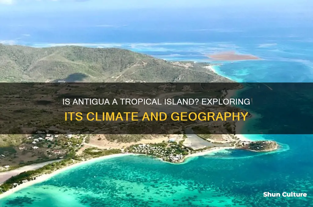 is antigua a tropical island