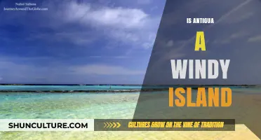 Is Antigua a Windy Island? Exploring the Trade Winds' Impact