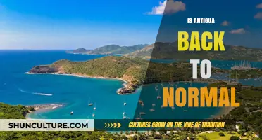 Is Antigua Back to Normal? Post-Pandemic Recovery and Tourism Update