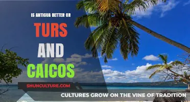 Antigua vs. Turks and Caicos: Which Caribbean Paradise Suits You Best?