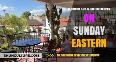 Is Antigua Cafe in Huntington Open on Sundays? Eastern Hours Explained