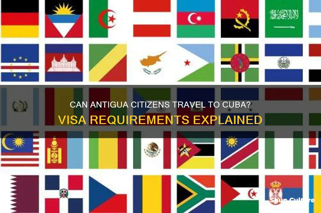 is antigua citizen allowed to enter to cuba