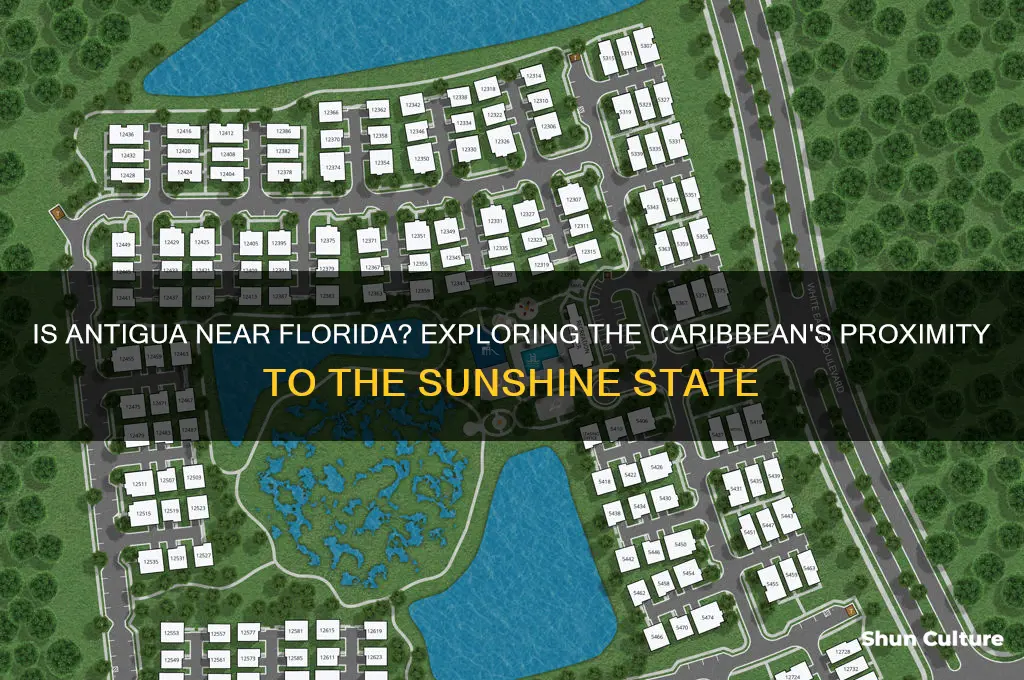 is antigua close to florida