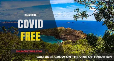 Is Antigua COVID-Free? Current Status and Travel Guidelines