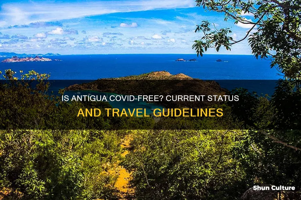 is antigua covid free