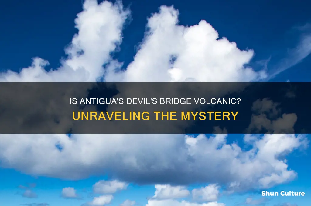 is antigua devil