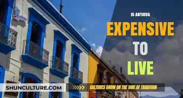 Is Antigua Expensive? Cost of Living Guide for Residents
