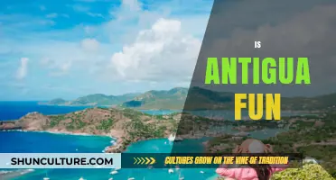 Is Antigua Fun? Discovering the Island's Vibrant Culture and Adventures