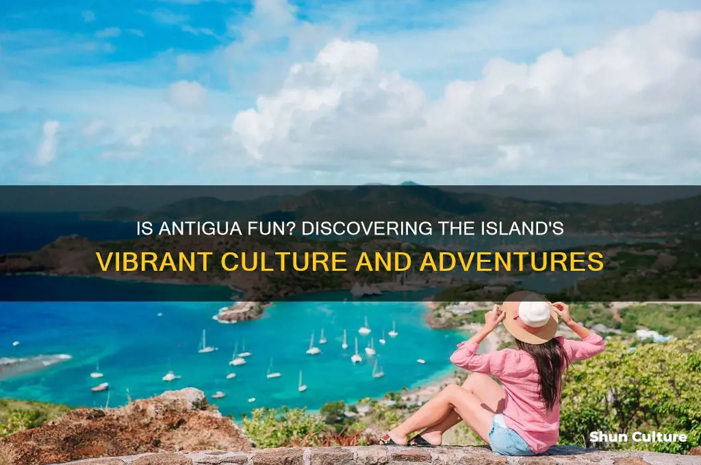 is antigua fun